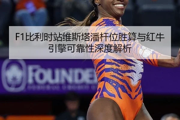 bi-li-shi-zhan-wei-si-ta-pan-gan-wei-sheng-suan-yu-hong-niu-yin-qing-ke-kao-xing-shen-du-jie-xi-3-715.jpg