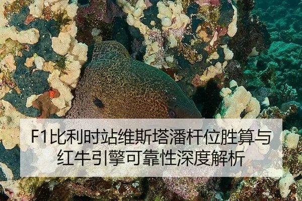F1比利时站维斯塔潘杆位胜算与红牛引擎可靠性深度解析