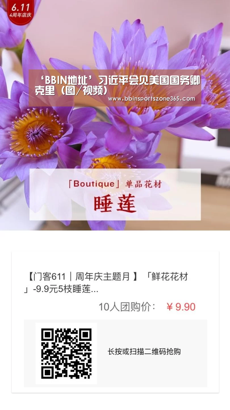 ‘BBIN地址’习近平会见美国国务卿克里（图/视频）