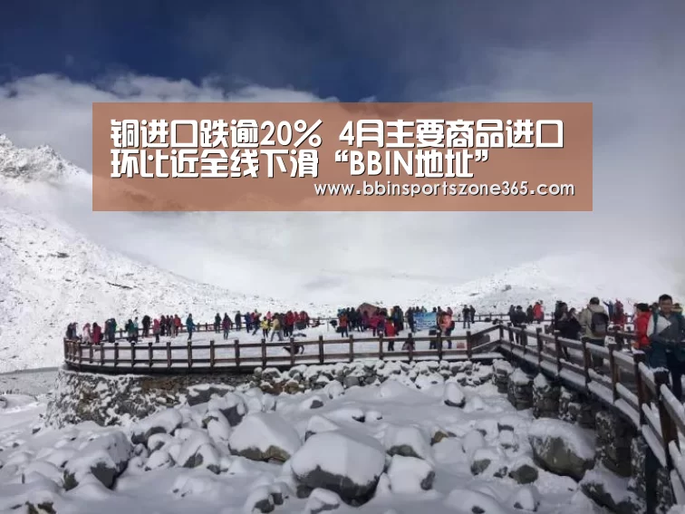 铜进口跌逾20% 4月主要商品进口环比近全线下滑“BBIN地