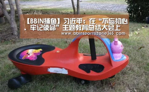 【BBIN捕鱼】习近平:在“不忘初心、牢记使命”主题教育总结大会上的讲话(图2) BBIN竞猜