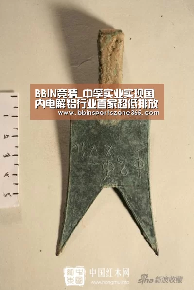 BBIN地址