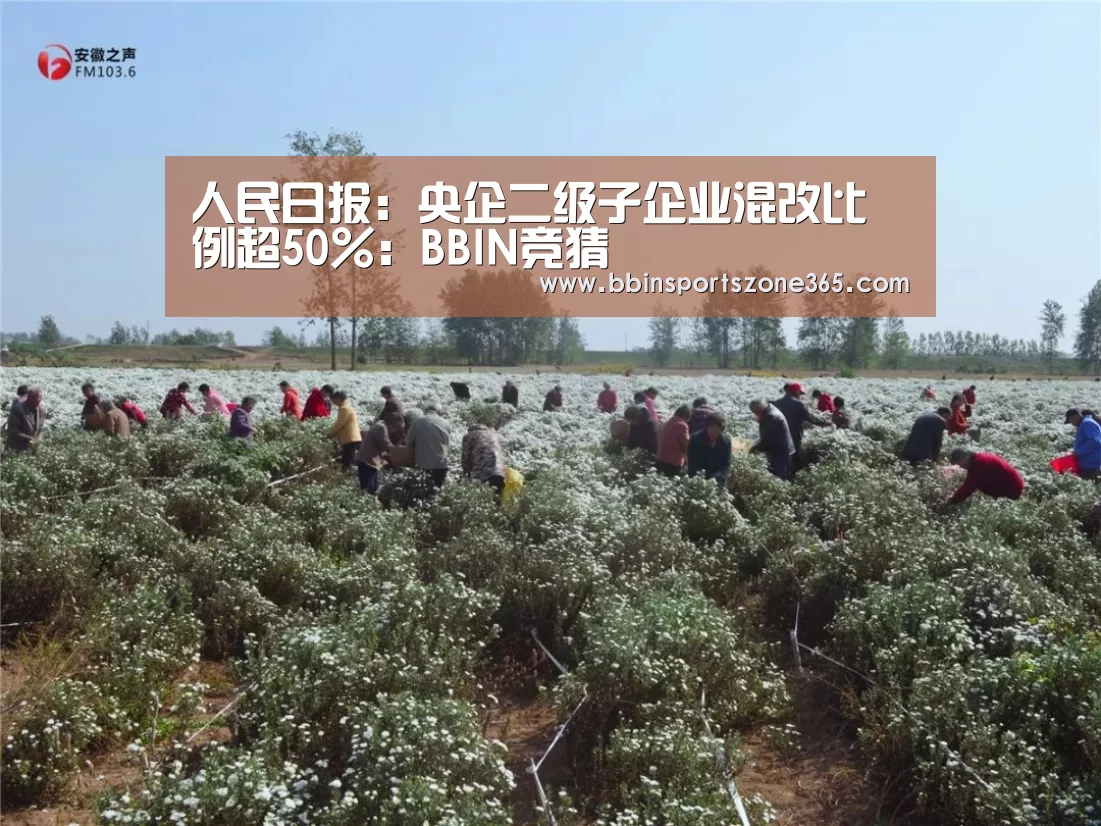 人民日报：央企二级子企业混改比例超50%：BBIN竞猜