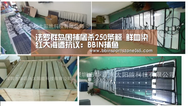 法罗群岛围捕屠杀250条鲸 鲜血染红大海遭抗议：BBIN捕鱼