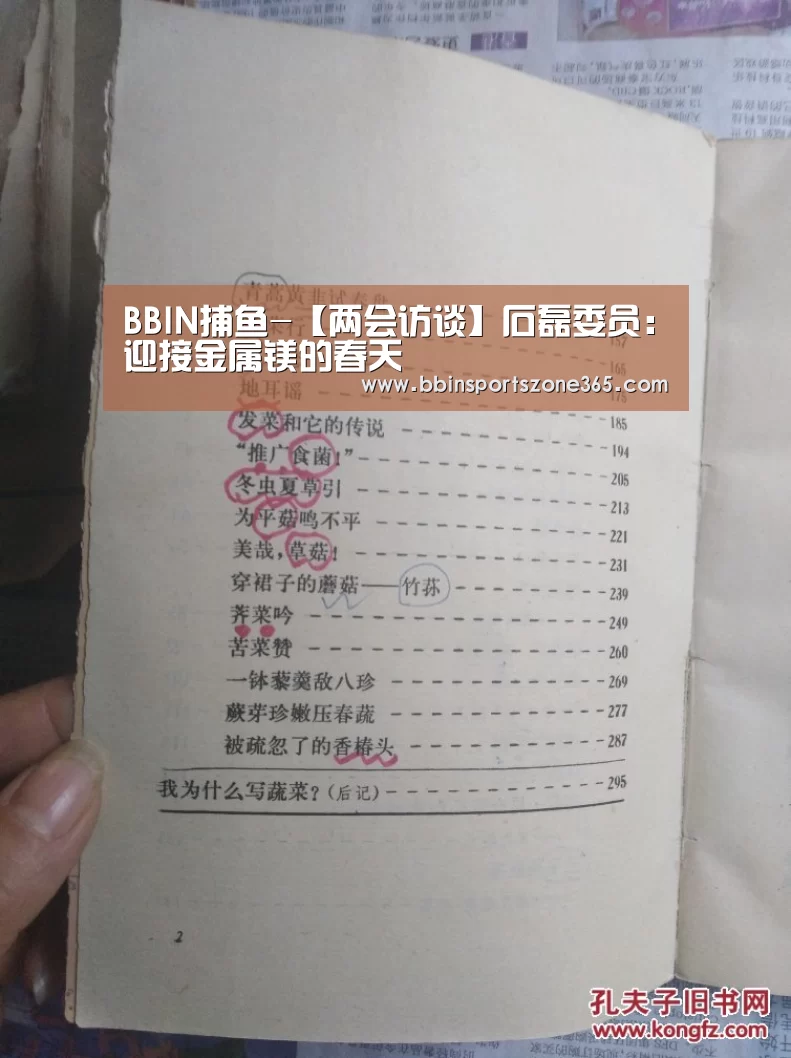 BBIN捕鱼-【两会访谈】石磊委员：迎接金属镁的春天