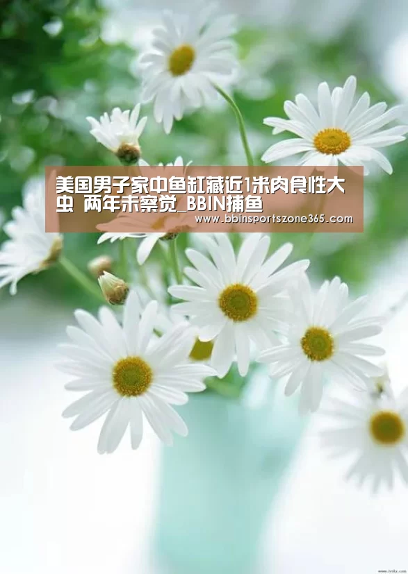 美国男子家中鱼缸藏近1米肉食性大虫 两年未察觉_BBIN捕鱼