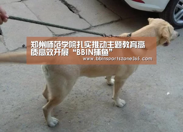 BBIN地址