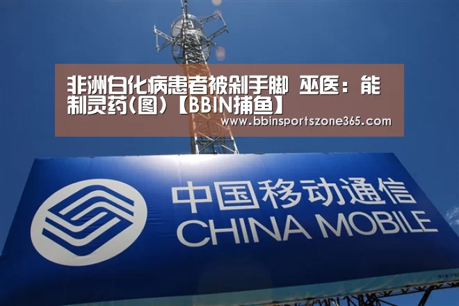 BBIN百家乐