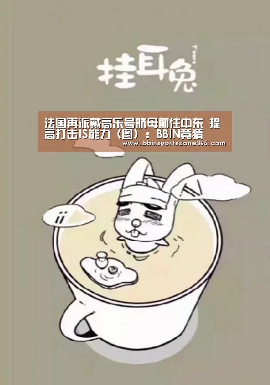 法国再派戴高乐号航母前往中东 提高打击IS能力（图）：BBI